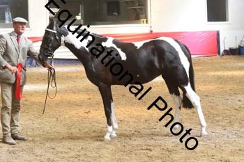 AHC-1395