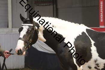 AHC-1437