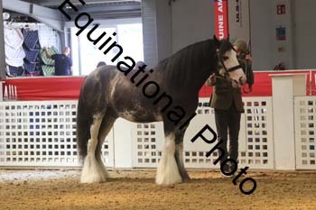 AHC-1489