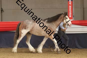 AHC-1503