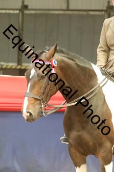 AHC-1941