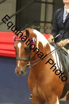 AHC-1952