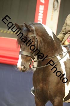AHC-2201