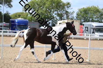 ISK-1687