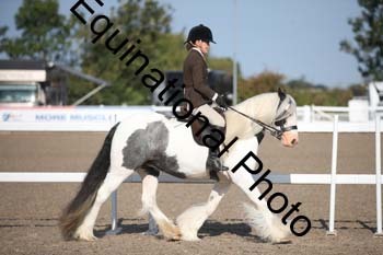OVW-1028