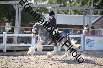 OVW-1194