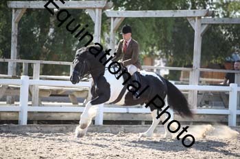 OVW-1199