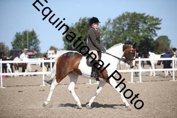 OVW-1328