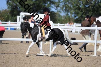OVW-1529