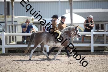 OVW-1599