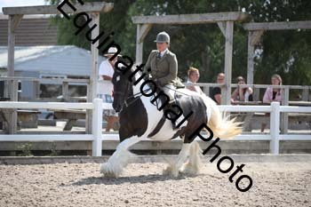 OVW-1703