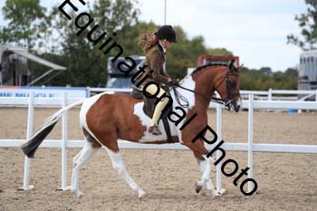 OVW-1798