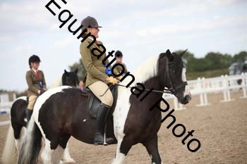 OVW-2028