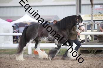 OVW-2149