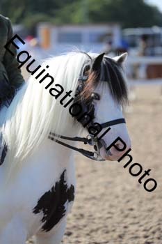 RMA-1231