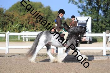 RMA-1301