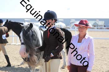 RMA-1480