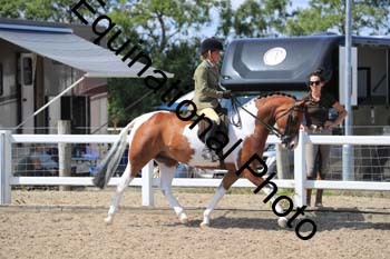 RMA-2011