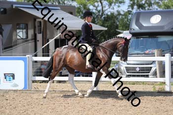 RMA-2015