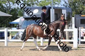 RMA-2016