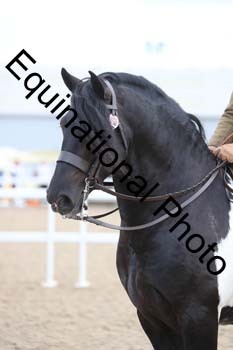 RMA-2343