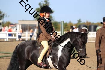 ZUW-1020