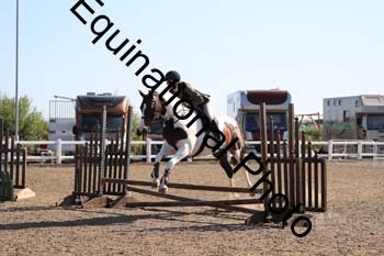 ZUW-1051