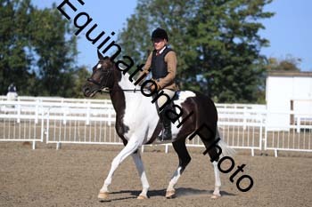 ZUW-1061