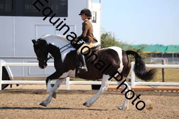 ZUW-1089