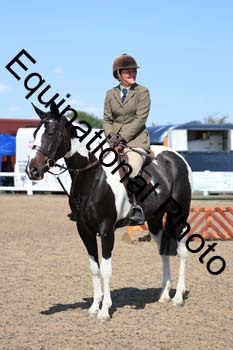 ZUW-1247
