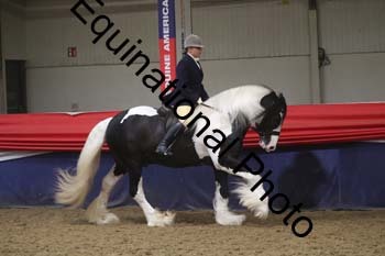VXT-1157