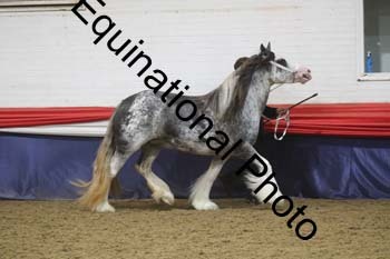 VXT-2213