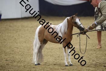 GYE-1001