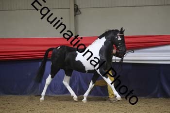 GYE-1022