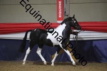 GYE-1023