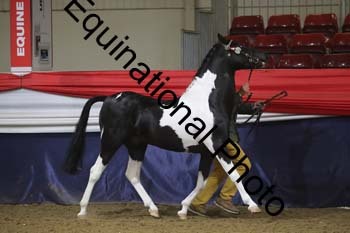 GYE-1024