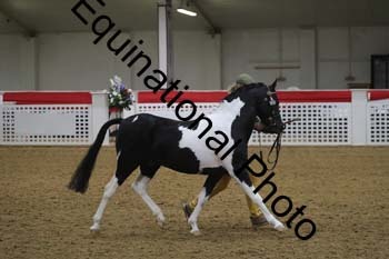 GYE-1030