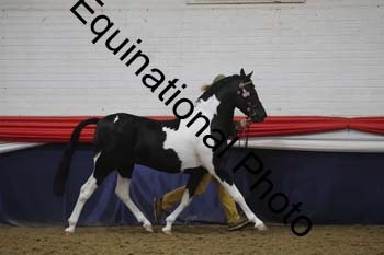 GYE-1036