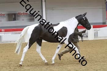 GYE-1058