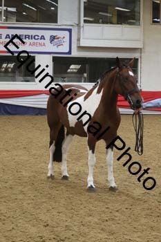GYE-1064