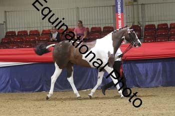 GYE-1079