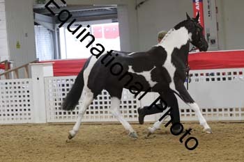 GYE-1088