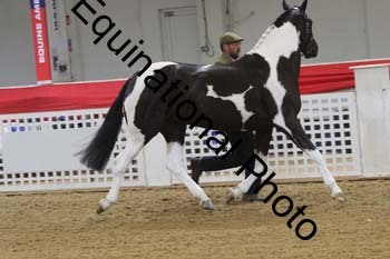 GYE-1089