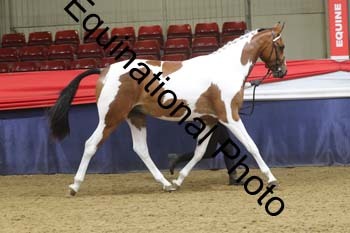 GYE-1093