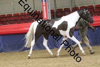 GYE-1096