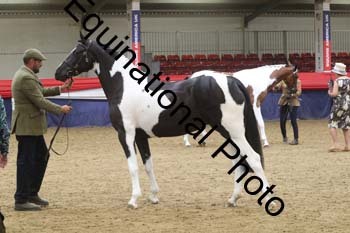 GYE-1098