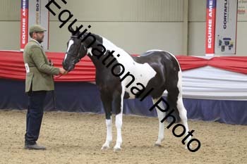GYE-1114