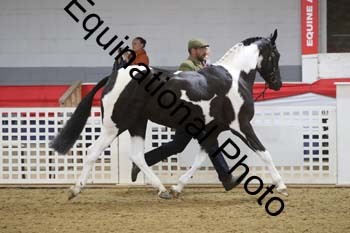 GYE-1123