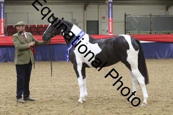 GYE-1179