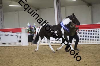 GYE-1185